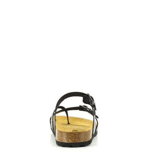 Plakton 101032 Ebony Black