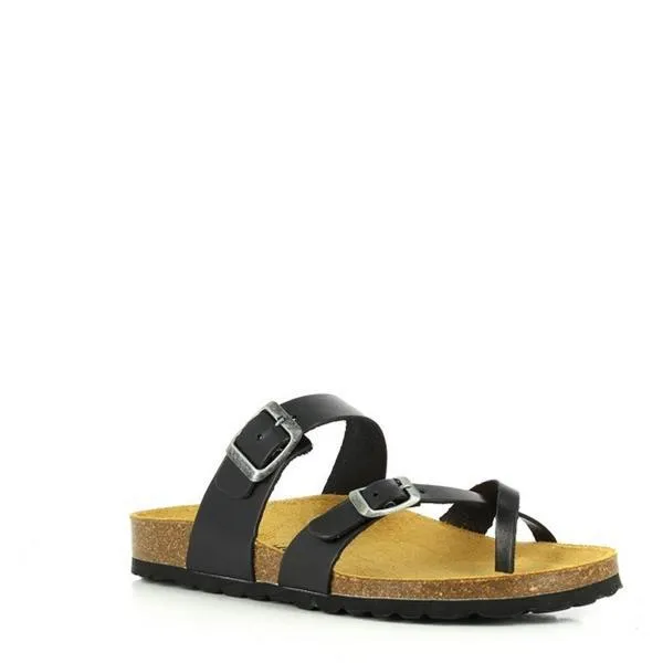 Plakton 101032 Ebony Black